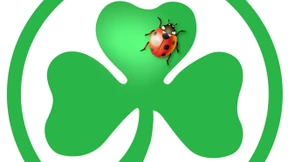 Die abenteuerliche Fahrt des Fürther Käfers