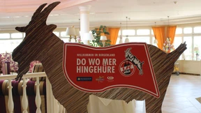 Domstadt ohne Luftschlösser 