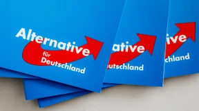AfD in Umfrage drittstärkste Partei im Bund