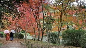 In einem Jahr mit nach Frauen benannten Tiefdruckgebieten
