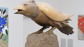 Die andere Seite der Krähe