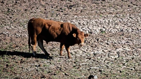 Mitten im Winter wird das Wasser in Spanien knapp