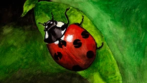 Schlupflöcher schließen