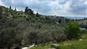 Leserbriefe vom 25. Juni 2020