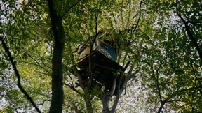 Grüne verletzen nicht nur den Koalitionsvertrag