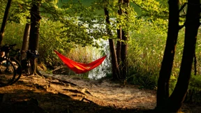 Zurück auf dem sinkenden Schiff