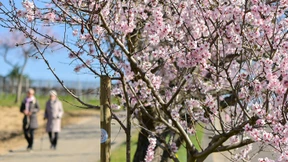 Trotz Corona kamen sie in Bussen