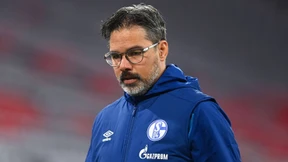 Schalker Abgründe