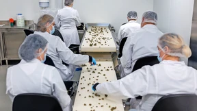 Das Geschäft läuft, die Aktie nicht