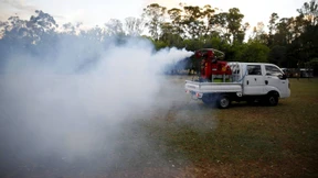 Atomwissenschaftler machen die Zika-Mücke unfruchtbar