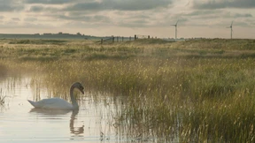 Räbinnenschnäbel und andere famose Worte
