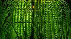 Gutscheine für schnelles Internet