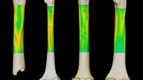 Der erste Fußgänger