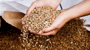 Getreide als Waffe Russlands