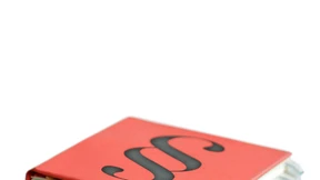 Endlich Volljurist! Und jetzt?