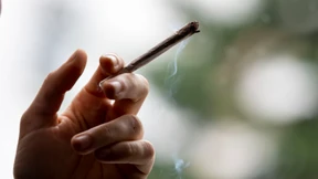 Limburg plant Dutzende Verbotszonen für Cannabis