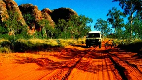 Hund reist als blinder Passagier durch Australien