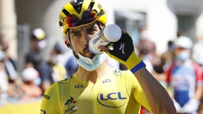 Dummheit der Wissenden