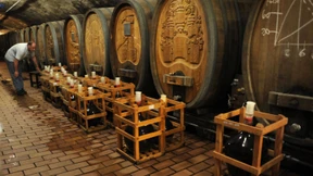 Wo sich Forschung und Weingenuss treffen