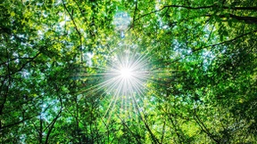 Ein Molekül entkoppelt Tag und Nacht