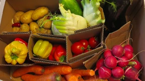 Wer hat im Internet das beste Obst?