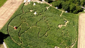 Master ohne Masterplan