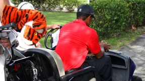 Das Murmeltier grüßt Woods