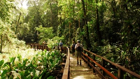 Costa Rica zu Fuß entdecken