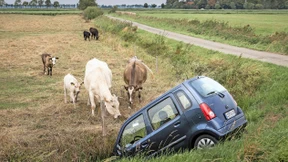 So wird die Kfz-Versicherung günstiger