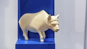 Figürliche Eiszeitkunst im Wiesbadener Keller