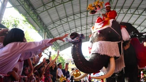 Elefanten statt Rentiere