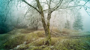 Grauen mit neuem Anstrich