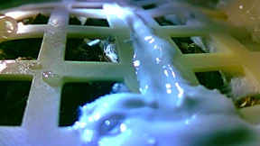 China lässt die erste Pflanze auf dem Mond wachsen