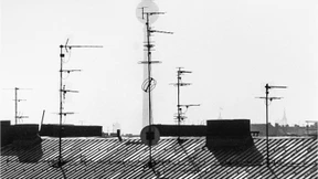 Dialektik der Freiheit