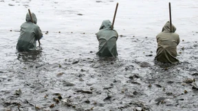 Für den einen Moment Oktober 2015