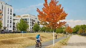 Experten warnen vor spontanen Ast-Abbrüchen