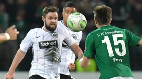 Balleroberer mit Bärenruhe