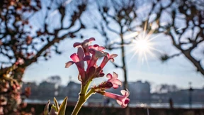 Der heißeste Tag der Woche für Hessen