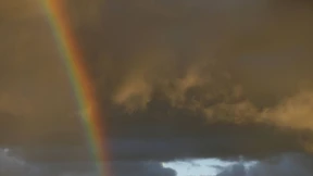 Klinik erklärt 200 Patienten aus Versehen für tot