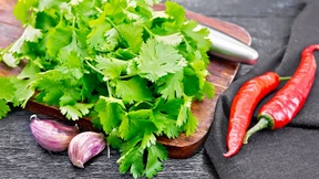 Das Polarisierende unter den Gewürzen