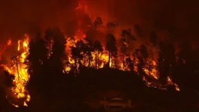 Riesige Waldbrände auf griechischer Insel Euböa