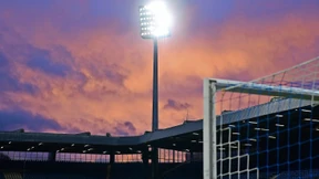 Die „graue Maus“ ist plötzlich das Vorbild