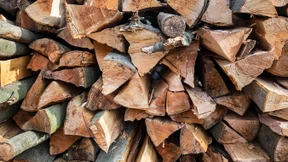 Ganz ohne Kahlschlag 