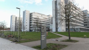 Lehre, praktisch begriffen