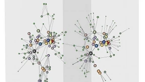 Mit Netzwerkanalysen gegen die Mafia