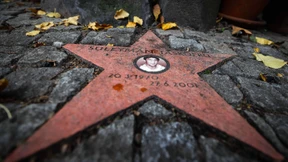 Ein Bild des Grauens