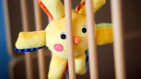 Frau findet zweijährigen Ausreißer