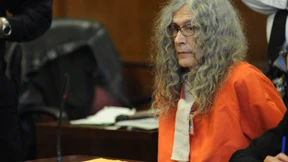 Das Raubtier mit den tausend Bildern 