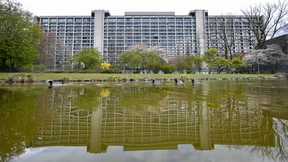 Europäische Schule: Die beste Idee seit langem