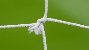 Der stille Erfolg der Netzhersteller 